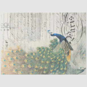 Seda Papel de deshielo de Ephemera de pavo real