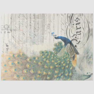 Seda Papel de deshielo de Ephemera de pavo real