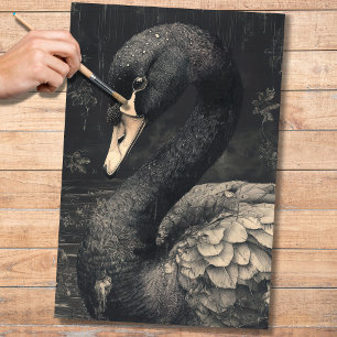 Seda Papel de deshielo del cisne negro 2