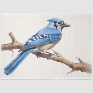Seda Papel de deshielo del Jay 3 azul
