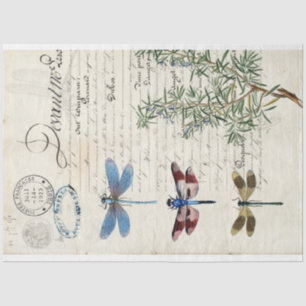 Seda Papel de deshielo del mobiliario de la libélula