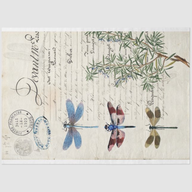 Seda Papel de deshielo del mobiliario de la libélula (Anverso)