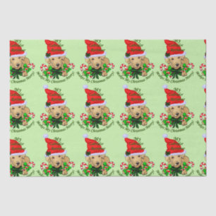 Seda Papel de discusión de Navidades de porción de labo
