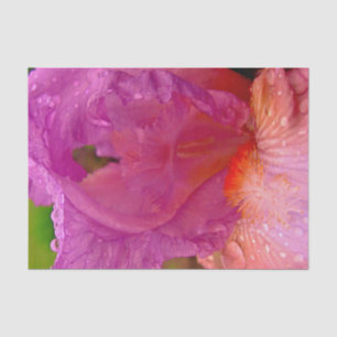 Seda Papel de envolvimiento de Iris Beauty-Tissue