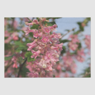 Seda papel de flor de primavera rosa