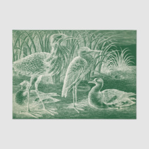 Seda Papel de los tejidos de las aves acuáticas
