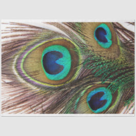 Seda Papel de melocotón de 2 descomposición