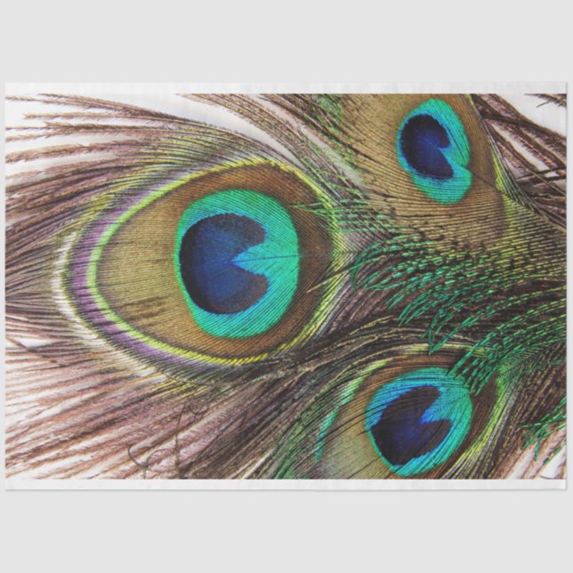 Seda Papel de melocotón de 2 descomposición (Anverso)