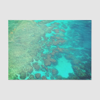 Seda Papel de papel de arrecife de coral