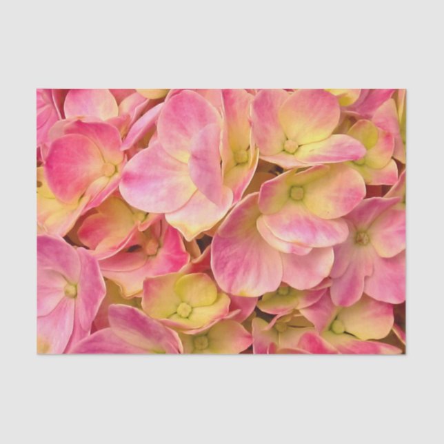Seda PAPEL DE RAPAS DE HIDROMASAJE Pink Hydrangeas-TISS (Anverso)