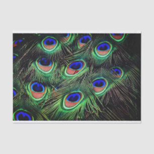 Seda Papel de regalo de la pluma de pavo real