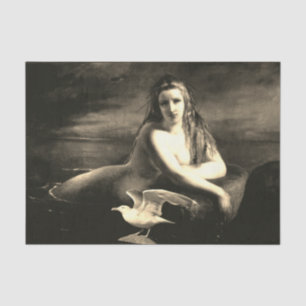 Seda Papel de regalo de sirena y gaviota
