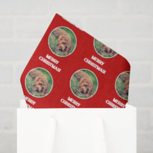 Seda Papel de regalo rojo Golden Doodle