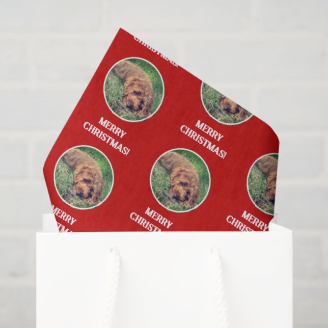 Seda Papel de regalo rojo Golden Doodle (Bolsa de regalo)