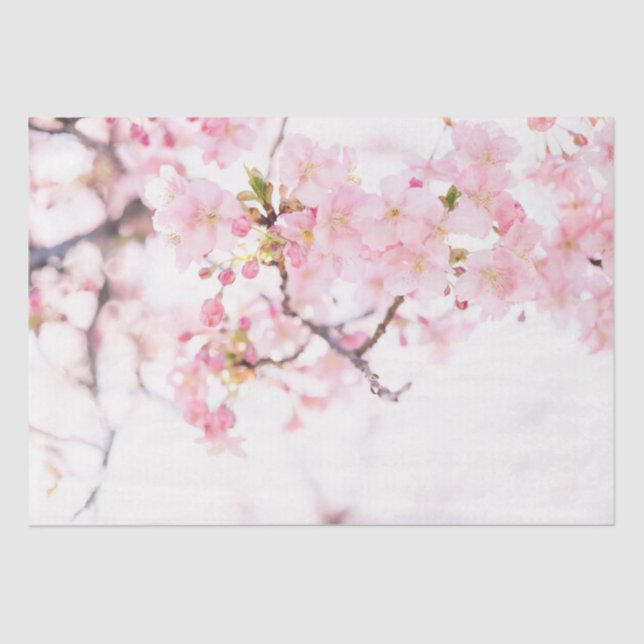 SEDA PAPEL DE SEDA: CHERRY BLOSSOMS TISSUE PAPER (Anverso)