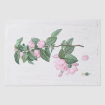 PAPEL DE SEDA: J.J. ROUSSEAU : FLORES PALE PINK