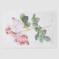 PAPEL DE SEDA: PIERRE'JOSEPH REDOUTÉ : ROSEBUSH