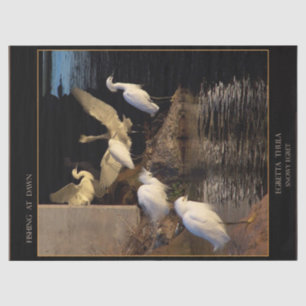 Seda Papel de tapicería al alba de las aves nevadas
