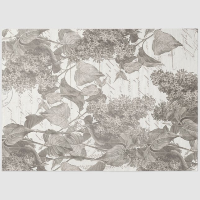 Seda Papel de tapón de collarín de lino vintado (Anverso)