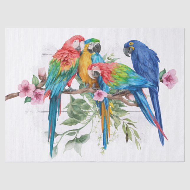 Seda Papel de té acuarela del loro de Macao Eucalyptus (Anverso)
