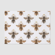 Papel de té de abeja de la reina blanca