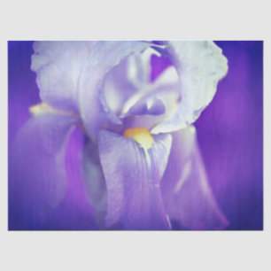 Seda Papel de té de regalo de Iris azul