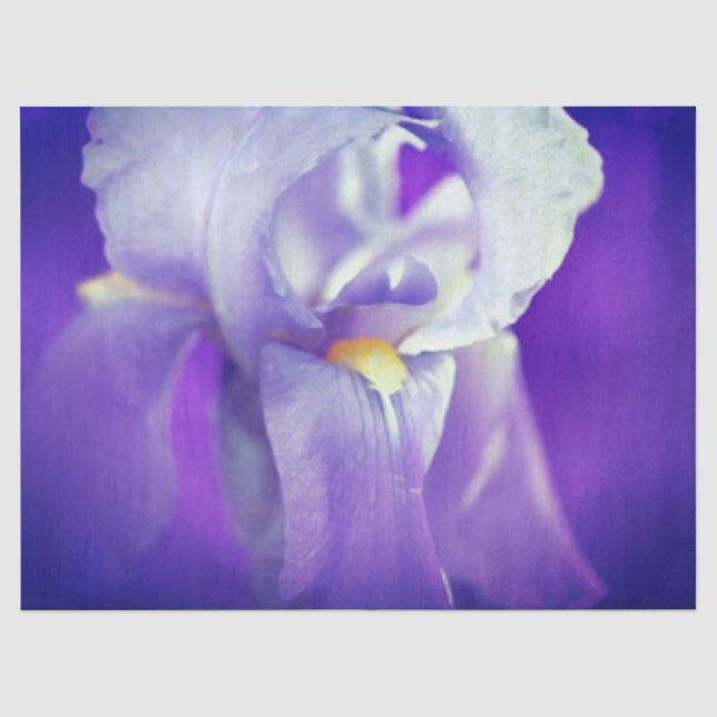 Seda Papel de té de regalo de Iris azul (Anverso)