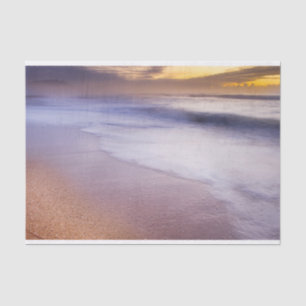 Seda Papel de té del amanecer en la playa