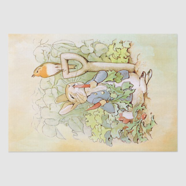 Seda Papel de té Peter Rabbit (zanahoria) (Anverso)