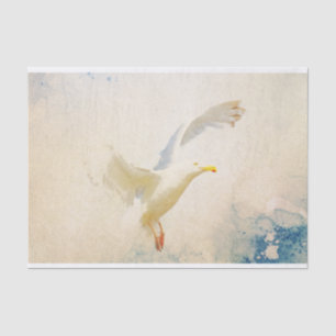 Seda Papel de tejido acuático de gaviota