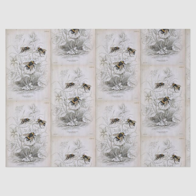 Seda Papel de tejido botánico Bumble Bee (Anverso)