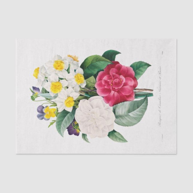 SEDA PAPEL DE TEJIDO: CAMELLIA NARCISSUS & PANSY (Anverso)