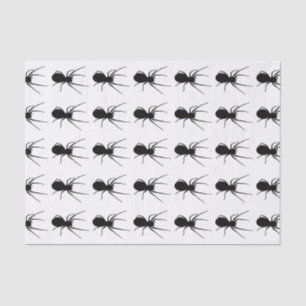 Seda Papel de tejido de araña negra