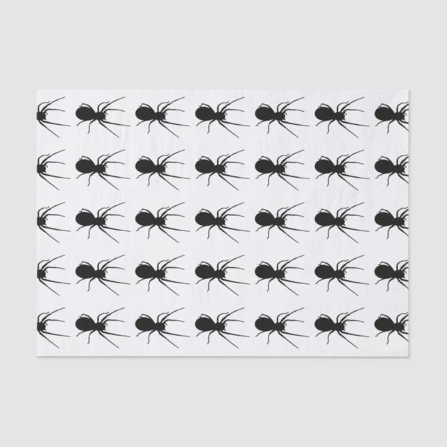 Seda Papel de tejido de araña negra (Anverso)
