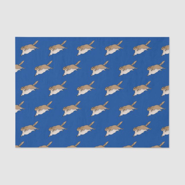 Seda Papel de tejido de ardilla voladora (Anverso)