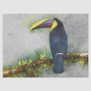 Seda papel de tejido de ave tulata