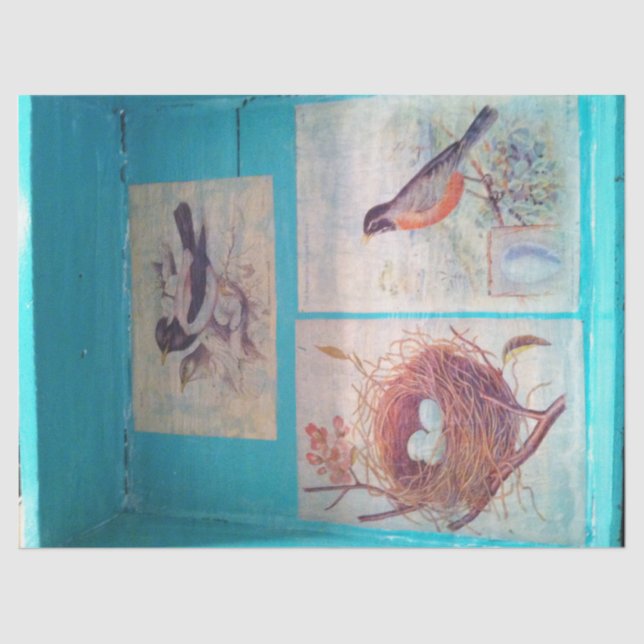 SEDA PAPEL DE TEJIDO DE AVES 18 LB (Anverso)