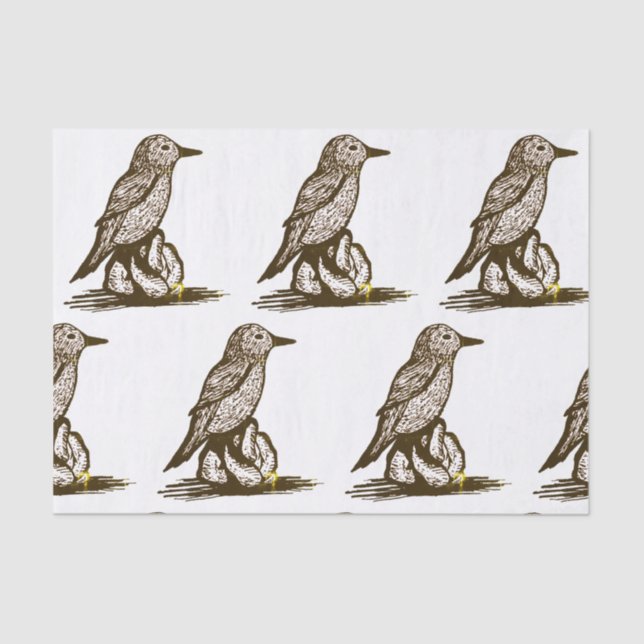 Seda Papel de tejido de aves para descomposición (Anverso)