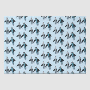 Seda Papel de tejido de ballena orca / asesino