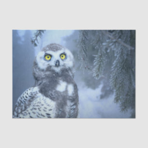 Seda papel de tejido de búho de nieve