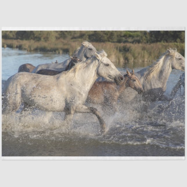 Seda papel de tejido de caballos en marcha (Anverso)