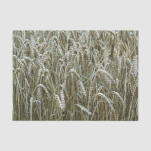Seda Papel de tejido de campo de trigo