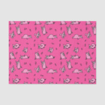 Papel de Tejido de Cerdo