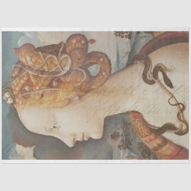 Seda Papel de Tejido de Decoloración de Snake Princes (Anverso)