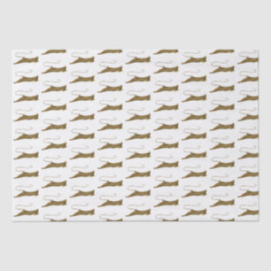 Seda Papel de Tejido de Dibujo Stingray de época