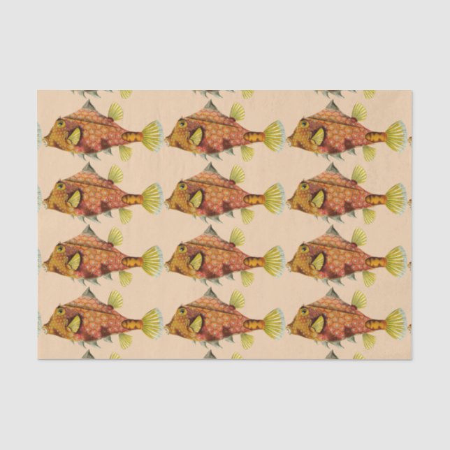 Seda papel de tejido de envoltura de pescado (Anverso)