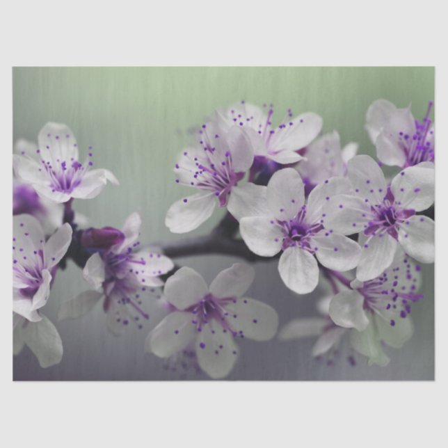 Seda papel de tejido de flores (Anverso)