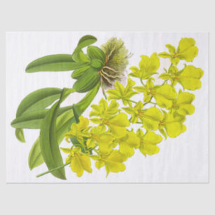 Seda Papel de tejido de flores de orquídeas amarillas