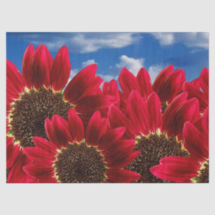 Seda papel de tejido de flores rojas