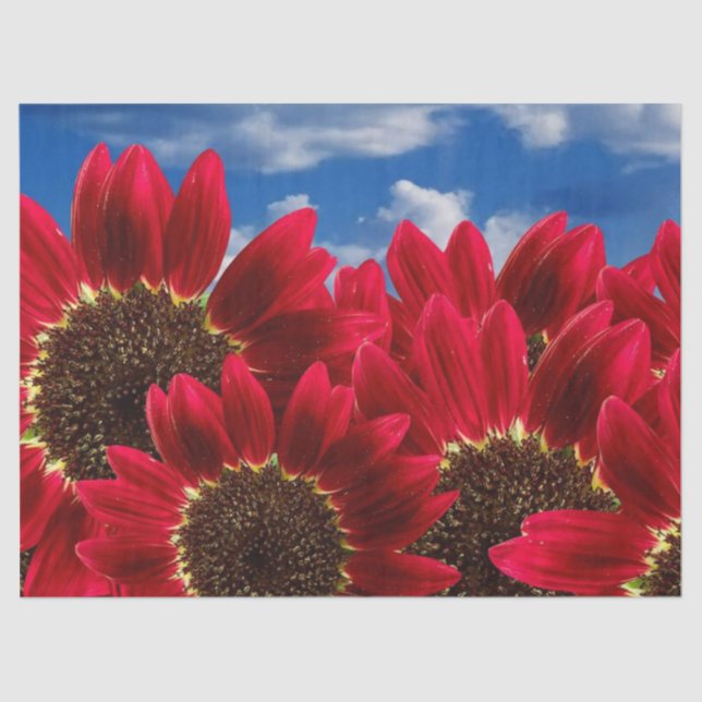 Seda papel de tejido de flores rojas (Anverso)